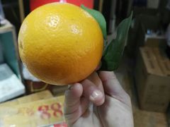 -瑞记湛江鸡饭店·粤西第一鸡(粤垦店)