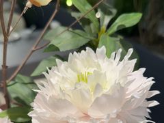 -蜀江龙火锅(339店)