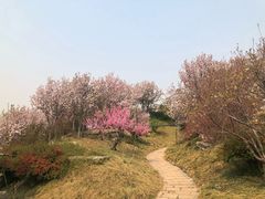 -石家庄市植物园