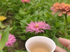 -汉长安城未央宫国家考古遗址公园