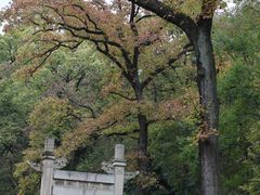 -灵谷景区