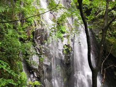 -藏龙百瀑风景区