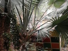 -呀路古热带植物园