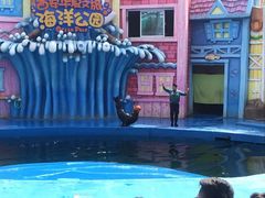 -华夏文旅海洋公园