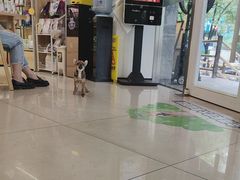 -艾贝尔宠物医院 ·中兽医·宠保定点(北门桥店)