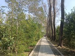 -溱湖国家湿地公园