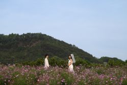 -金夫人婚纱摄影(总店)