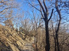 -北京鹫峰国家森林公园