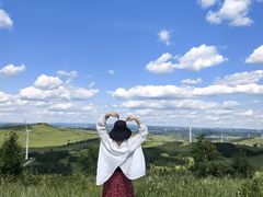 -御道口草原森林风景区
