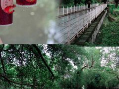 -燕晗山郊野公园
