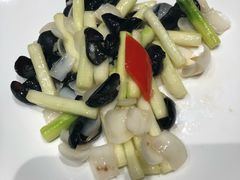 -子福慧(虹桥店)