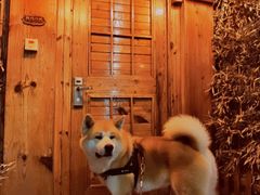 -御林汤泉