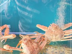 -吉友粥底火锅(方斜路店)