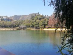 -四海公园(南山区)