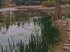 -洛阳市隋唐城遗址植物园