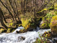 -叠溪松坪沟景区