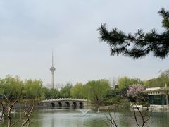 -钓鱼台国宾馆