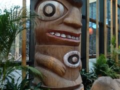 -杭州开元森泊度假乐园