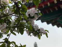-大钟寺古钟博物馆