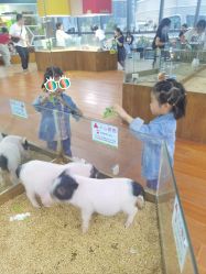 -未来动物城主题公园(正弘城店)