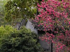 -杭州植物园