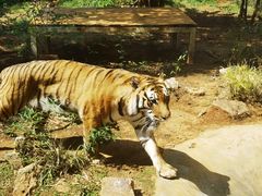 -昆明动物园