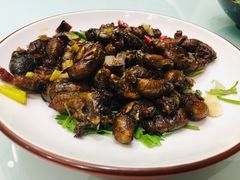 香煎金蝉-丁里羊肉小镇(天鹅湖总店)