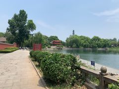 -百脉泉景区