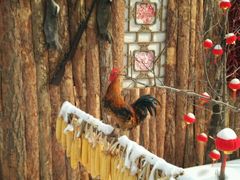 -采薇庄园四季滑雪场