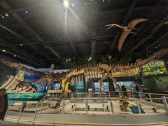 -国家自然博物馆