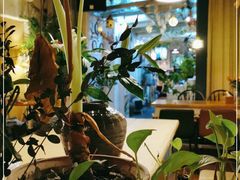 -西西这里民谣酒馆