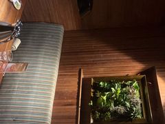 -前海沿·青岛菜(大拇指广场石老人店)