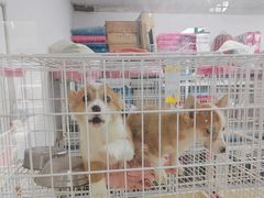 -山东柏宁水族批发广场