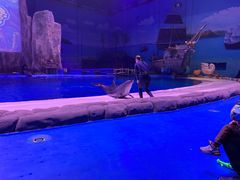 -华夏文旅海洋公园