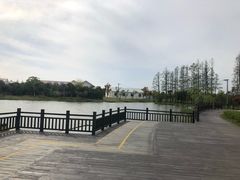 -上海长兴岛郊野公园