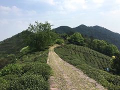 -西湖风景区十里琅珰-五云山