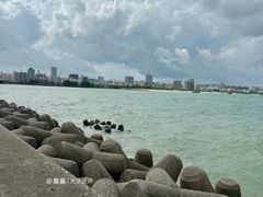 -美国村