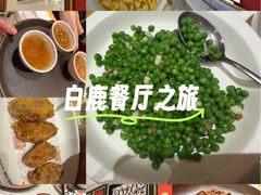 -新白鹿餐厅(第一百货店)