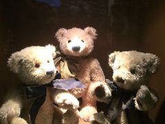 -济州岛泰迪熊博物馆