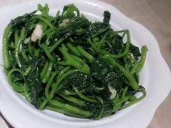番薯叶-张记旺角食街(动物园店)