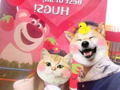 -Lotso Lunch Box 草莓熊餐盒