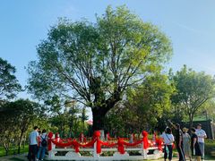-董永七仙女文化园