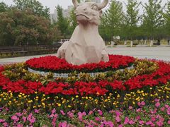 -永定河休闲森林公园