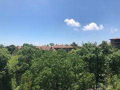 -上海崇明金茂凯悦酒店