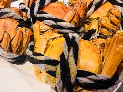 -小天鹅戴斯酒店鲸鲨百汇创作料理