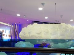 -潇湘楼(环保园店)
