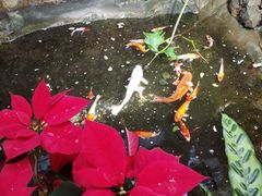 -聚缘堂·海鲜私房菜(松岭路店)