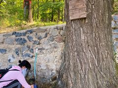 -阳台山自然风景区