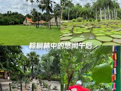 -中国科学院西双版纳热带植物园