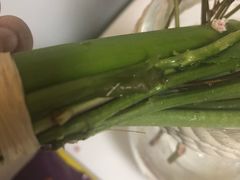 -植物学家的女儿(北马道巷店)